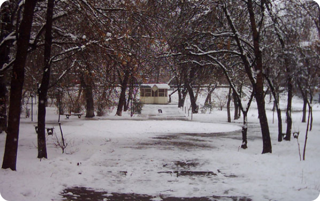 Lover's park