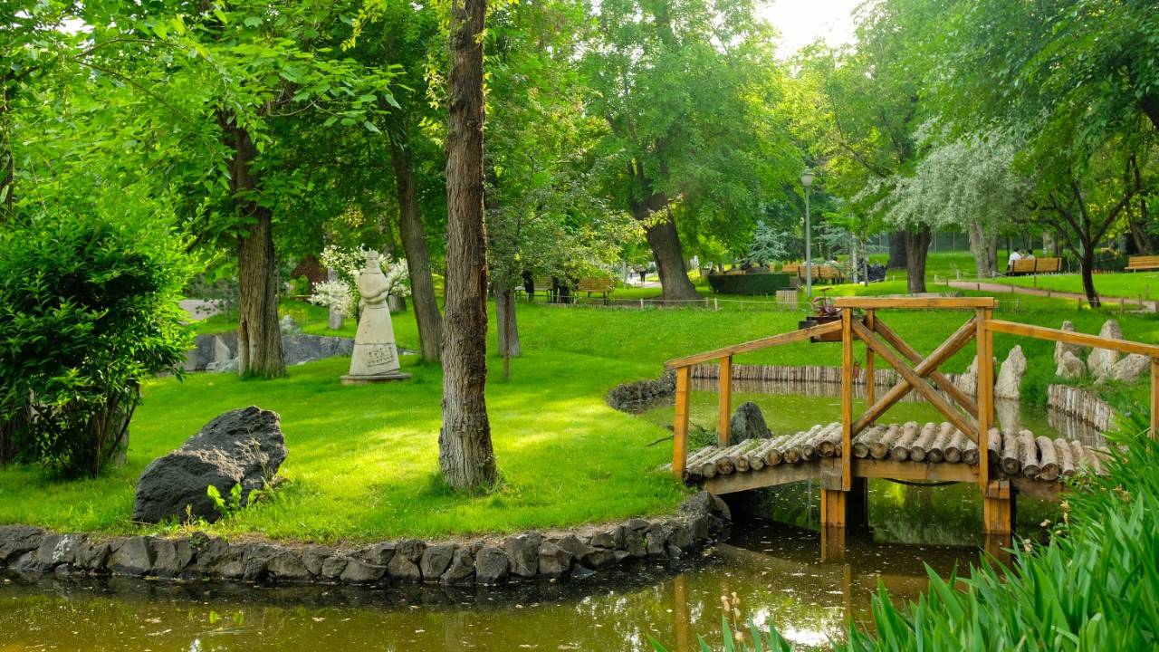Այգու պատկերներ