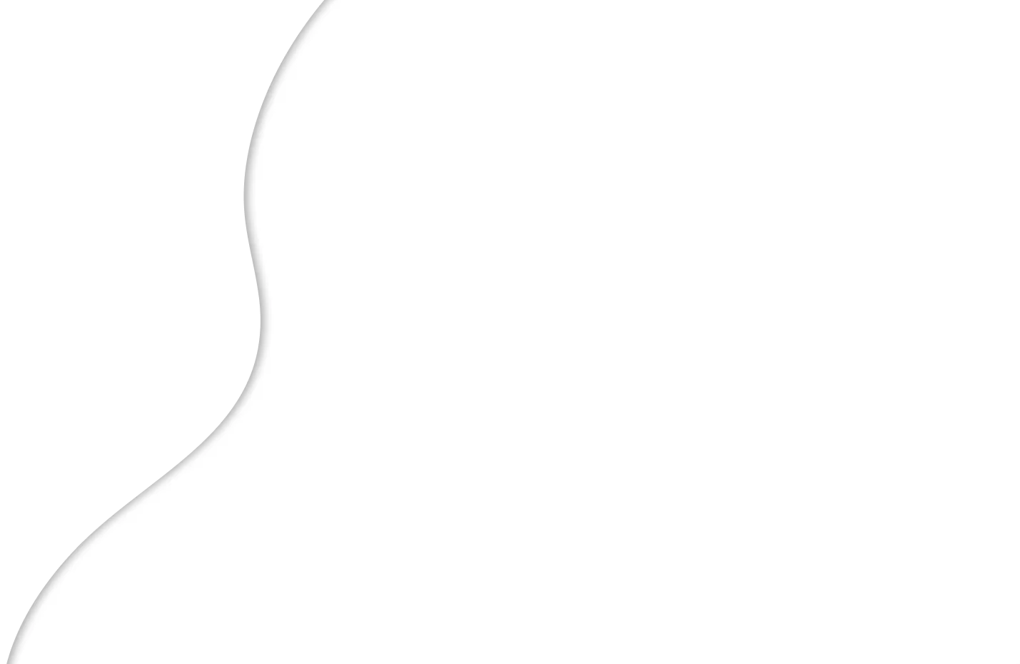 Left Image